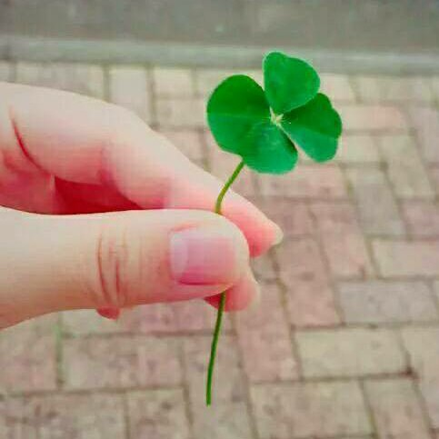 (ゆぅ)☘のユーザーアイコン