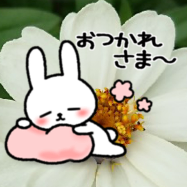 SCðŒ*â¬à³šÌ£Ì¥ ð¢...ã®ãŠãŒã¶ãŒã¢ã€ã³ã³