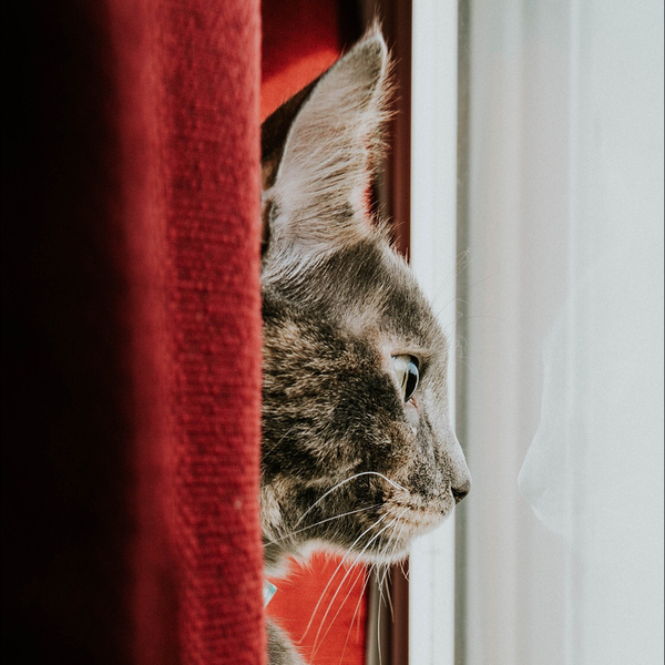 松任谷由実 ジブリ 優しさに包まれたなら By テト 音楽コラボアプリ Nana