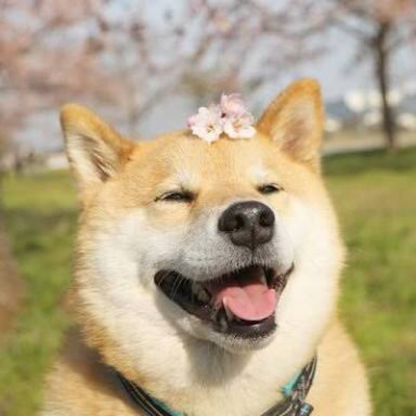 おやすみのキスを Good Night My Love Double 清水翔太 By Kpk 音楽コラボアプリ Nana