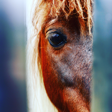 セントエルモの火 Bump Of Chicken 歌ってみた 弾いてみた 6ページ目 音楽コラボアプリ Nana