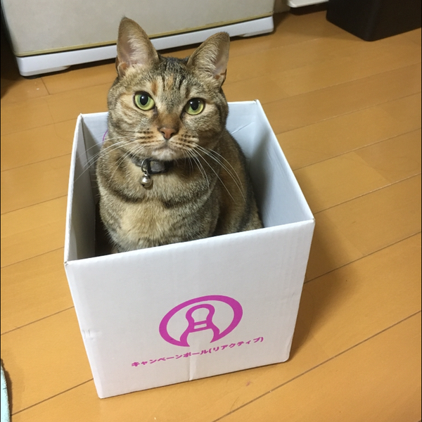 和葉♪ฅ^•ω•^ฅ好き♡♡のユーザーアイコン