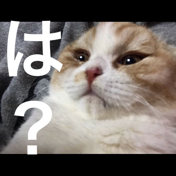 エス.ケー🐱🌿🌝のユーザーアイコン