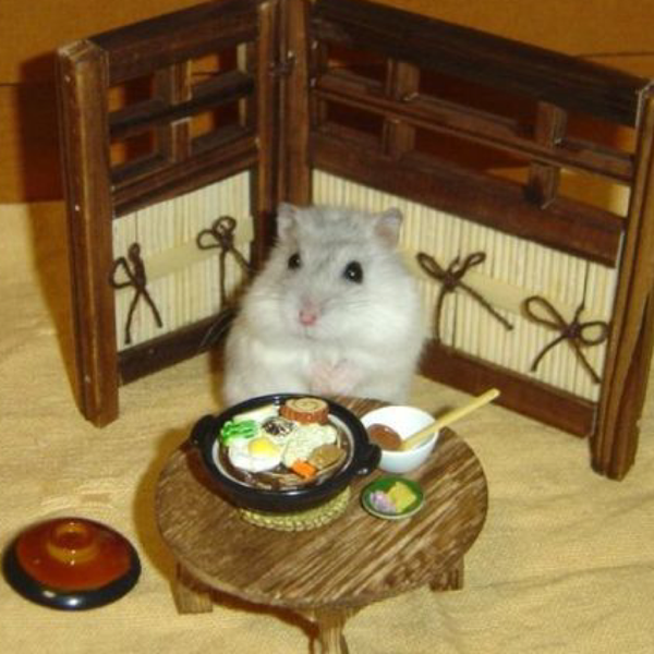 はむやん🐹マイペースのユーザーアイコン