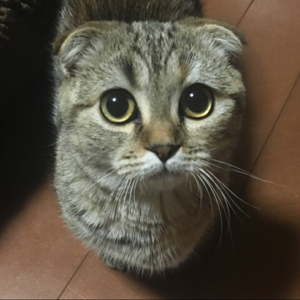 みんとのユーザーアイコン