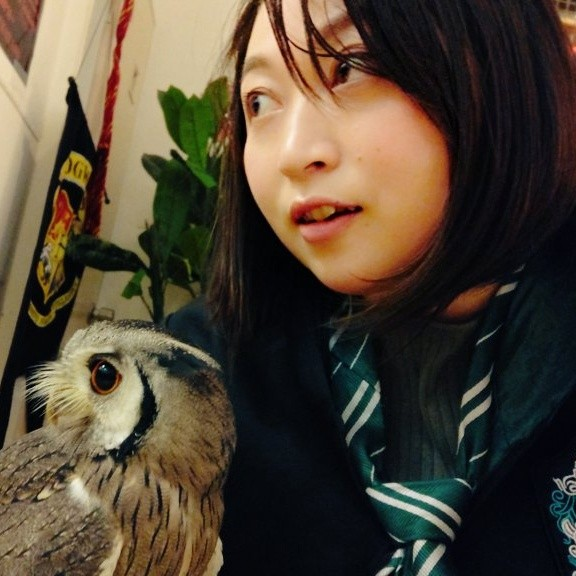 雪子のユーザーアイコン