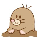 IMAWANOKIWA off