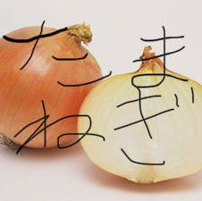 たまねぎの中のやっちんのユーザーアイコン
