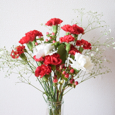 カラノココロ Anlyの歌詞 音楽コラボアプリ Nana