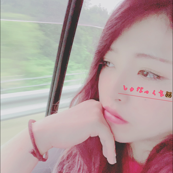 しゅなっくま🐻のユーザーアイコン