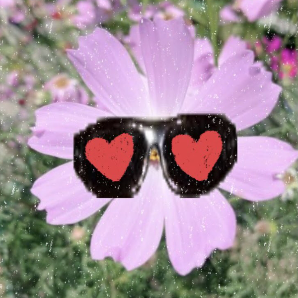 ゆう🌼🐆のユーザーアイコン