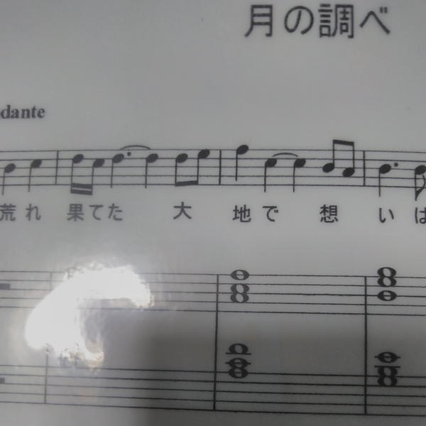 ライゼフローリアのユーザーアイコン