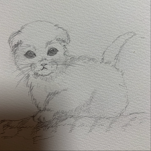 ふたたび 千と千尋の神隠しより 平原綾香 久石譲 By Asamimimi 音楽コラボアプリ Nana