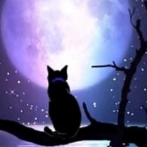 鱗-Rin-のユーザーアイコン