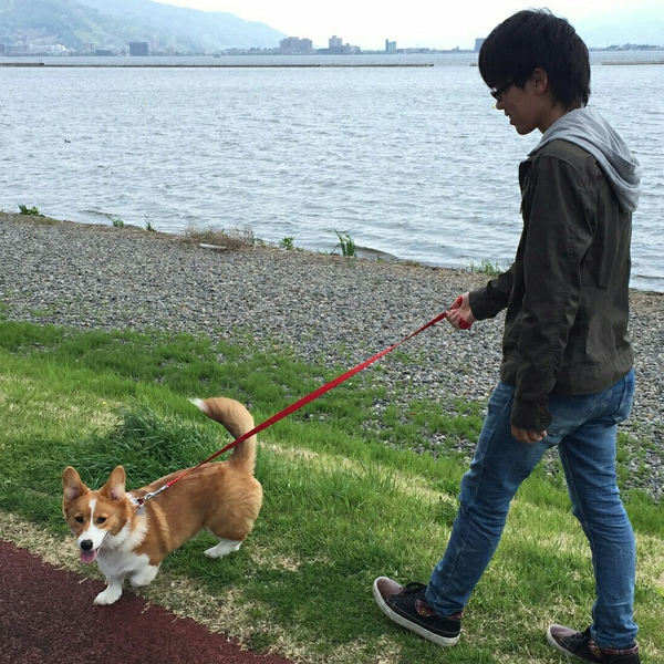 こさのユーザーアイコン