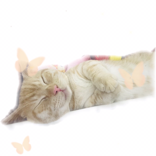 jun꙳★*😩のユーザーアイコン