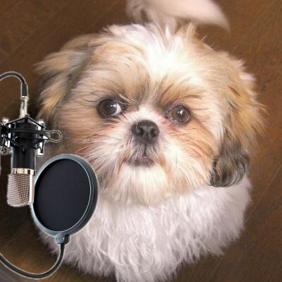 cocoパパのユーザーアイコン