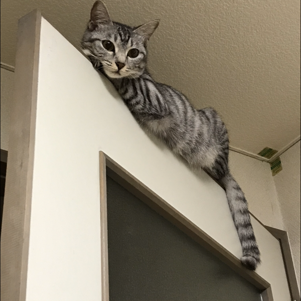 天空のユーザーアイコン