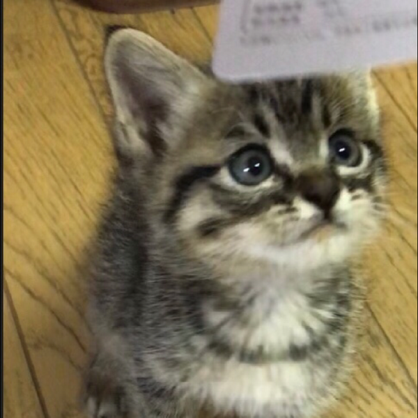 天空のユーザーアイコン