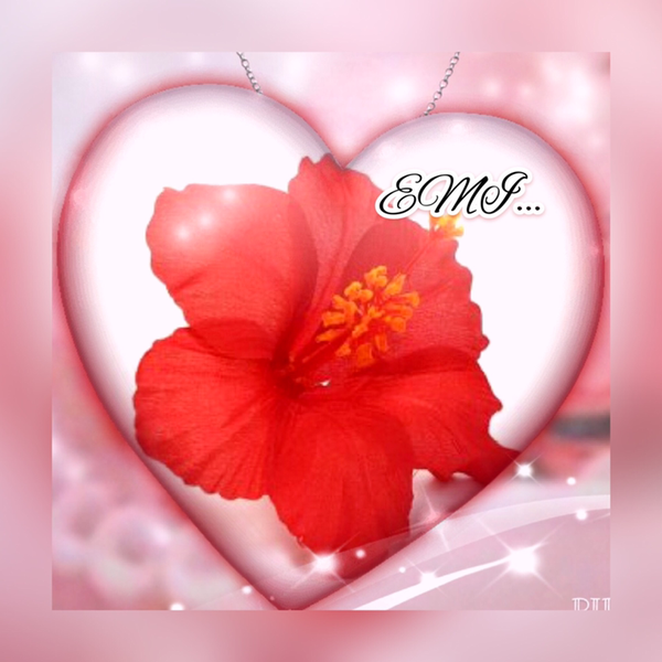 🌺EMI🌺のユーザーアイコン