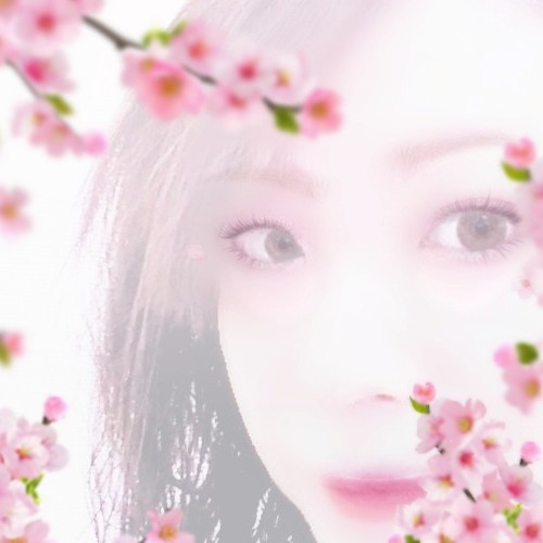 にぃな🐈🐾nana浮上(*´˘`*)🌷.*🌷.*🌷.*のユーザーアイコン