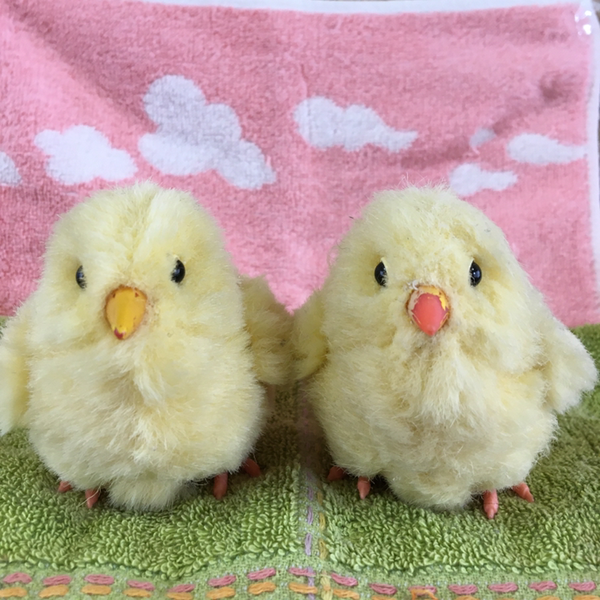 ひとさわのユーザーアイコン