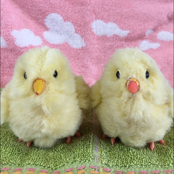 ひとさわのユーザーアイコン