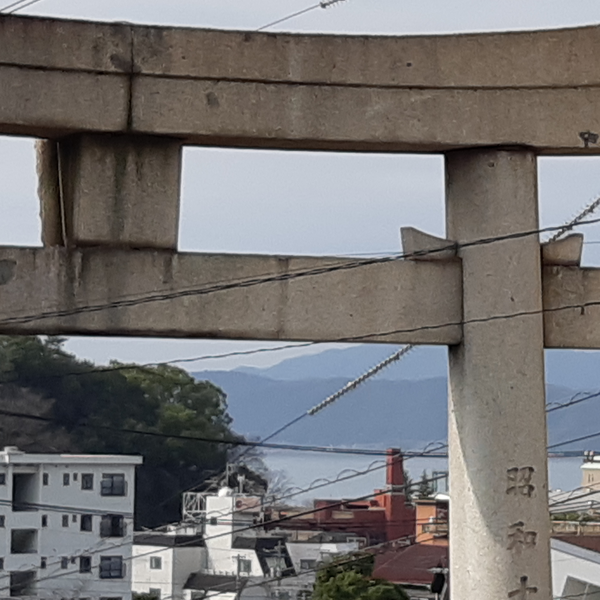 しなもんのユーザーアイコン