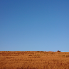 真夜中のナイチンゲール 竹内まりやの歌詞 音楽コラボアプリ Nana
