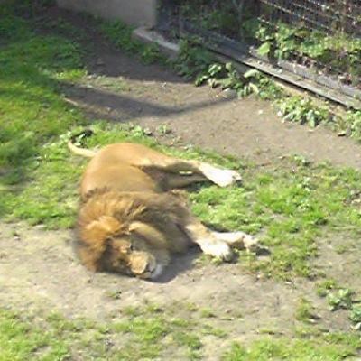 Over Driver Unison Square Garden カラオケ ピアノ ギター伴奏 音楽コラボアプリnana