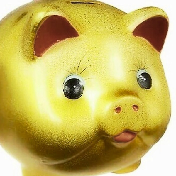 🐷豚(㌧)どすこい🐷のユーザーアイコン