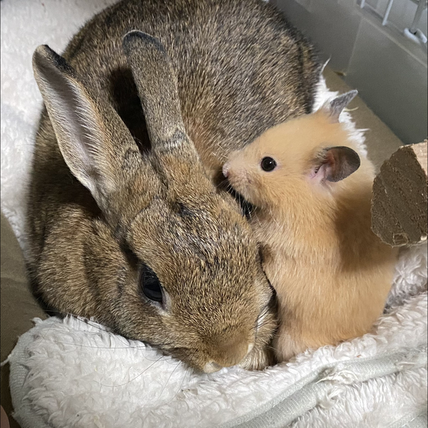 @tetsuのユーザーアイコン
