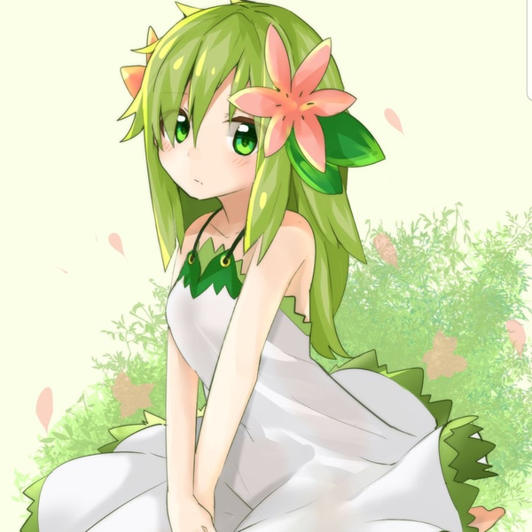 シェイミのユーザーアイコン