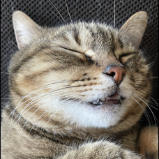 素晴らしき日常 高橋 優の歌詞 音楽コラボアプリ Nana