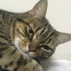 卒業の歌 友達の歌 19の歌詞 音楽コラボアプリ Nana