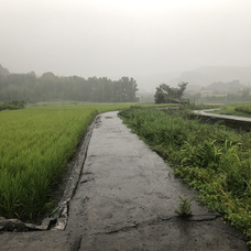 Everything Is My Guitar Andymoriの歌詞 音楽コラボアプリ Nana