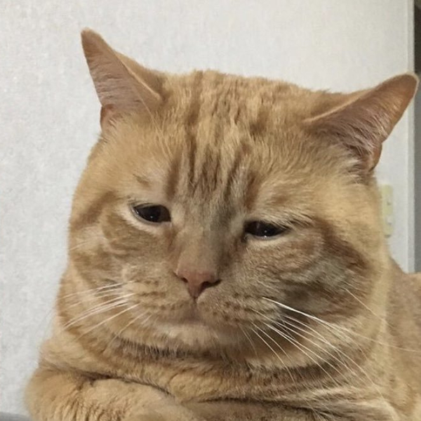 ゆいどんのユーザーアイコン
