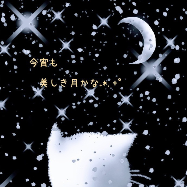 🌛Belle lune🌠のユーザーアイコン