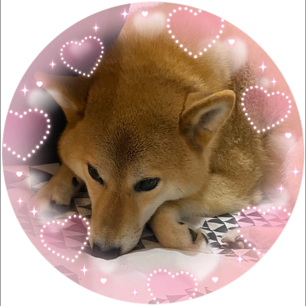 あひる🐕のユーザーアイコン