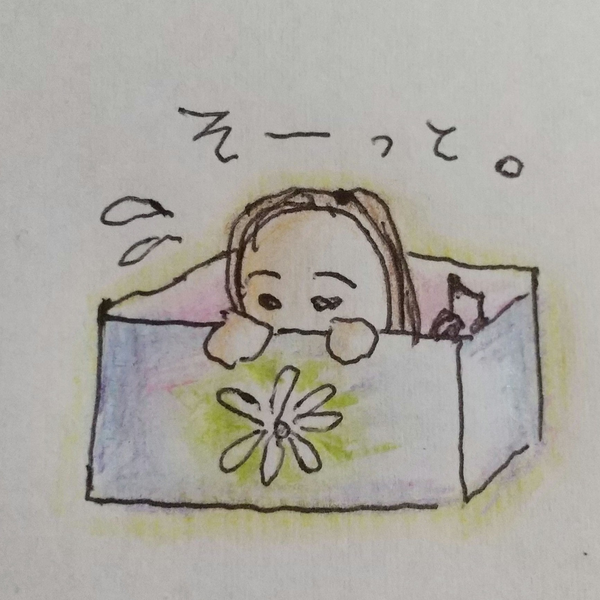 清水はこべ(箱)のユーザーアイコン