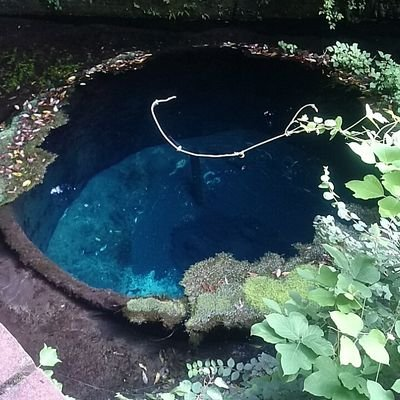 ※シークレット用アカウント※のユーザーアイコン