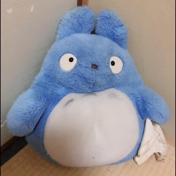 なつみかん🍊(๑˙❥˙๑)のユーザーアイコン