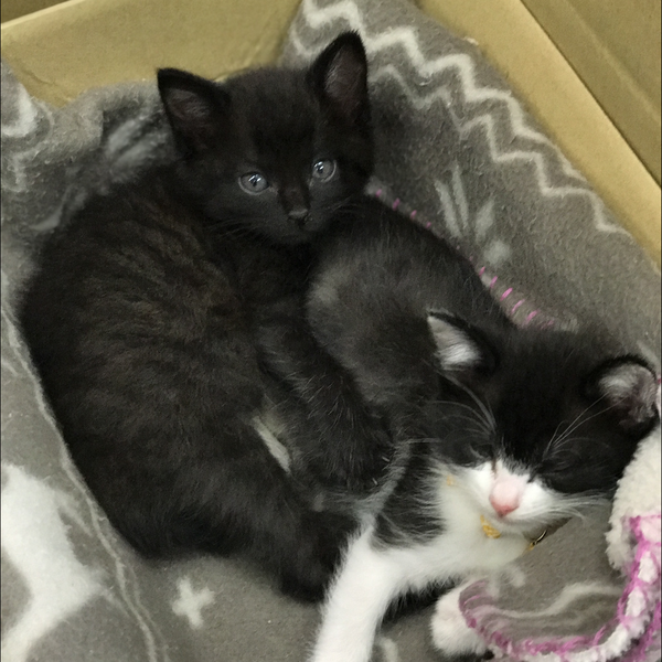 なつみかん🍊(๑˙❥˙๑)のユーザーアイコン