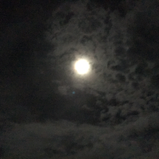 おるがん たまの歌詞 音楽コラボアプリ Nana