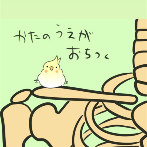 かたのうえ🦜のユーザーアイコン
