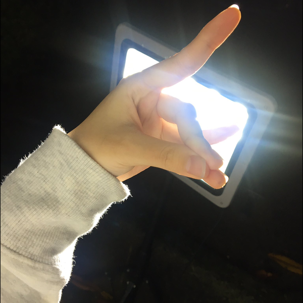 きゅーり!🥾のユーザーアイコン