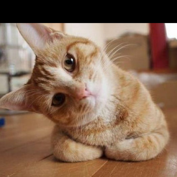 あいみょん好きな人が曲を投げ込むコミュ コミュニティ 音楽コラボアプリ Nana