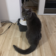 ひとりじゃない Deenの歌詞 音楽コラボアプリ Nana