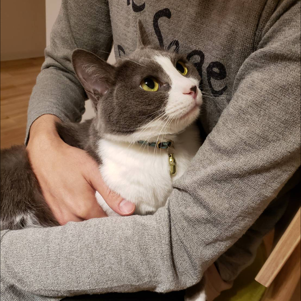 Goのユーザーアイコン
