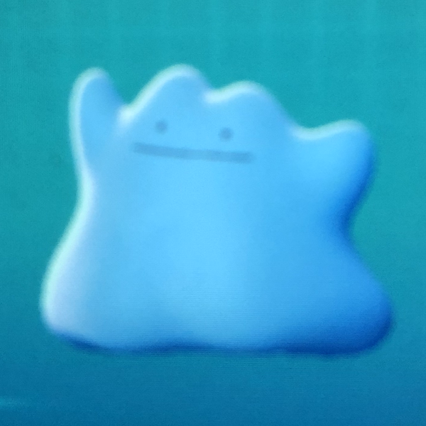 めたもんのユーザーアイコン